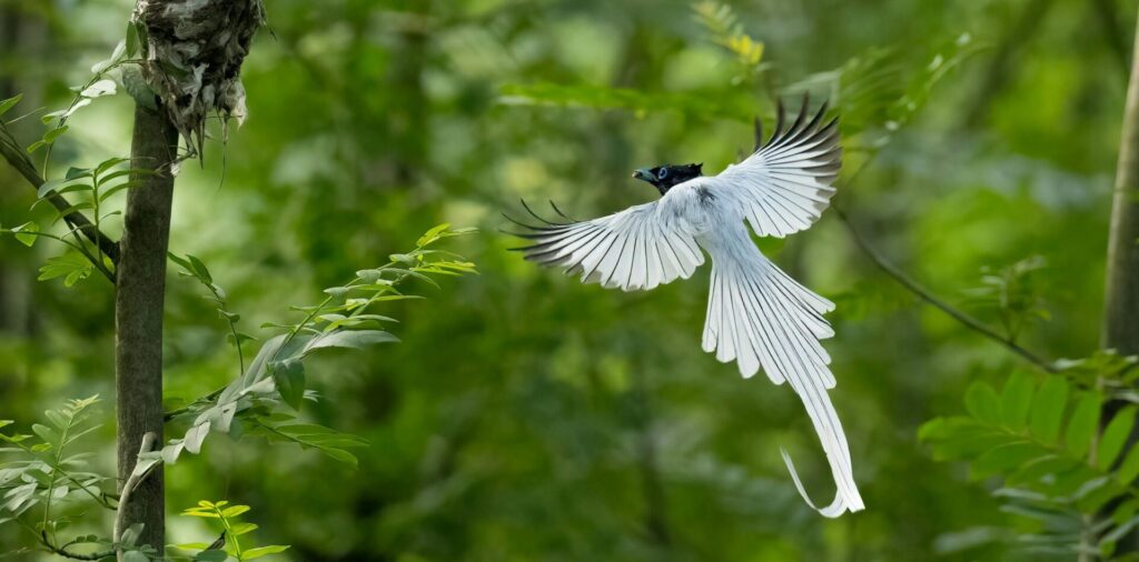 pexels photo 17477959 17477959