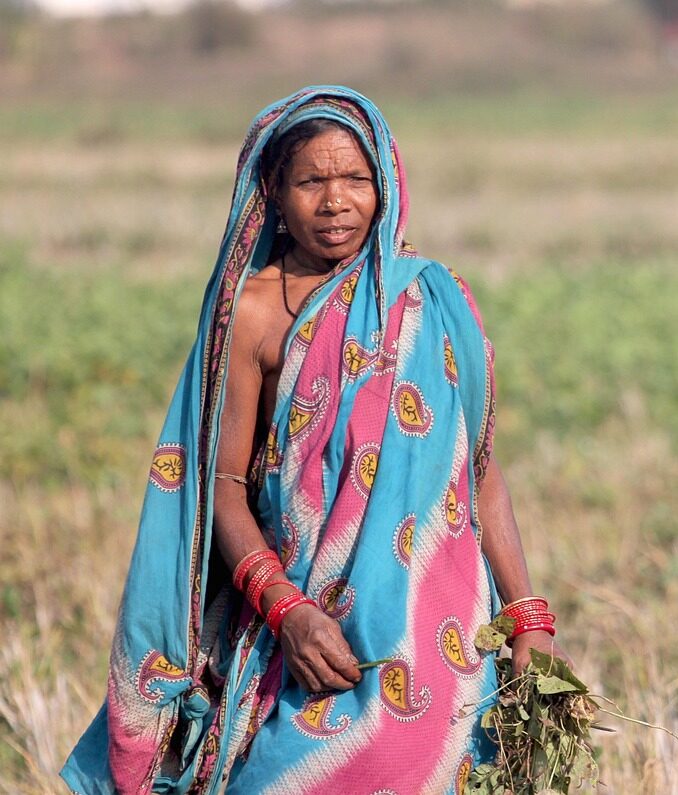 india, woman, odisha, orissa, female, tribal, harvest, labor, oriya, traditional, odisha, odisha, odisha, odisha, odisha, orissa, orissa, tribal