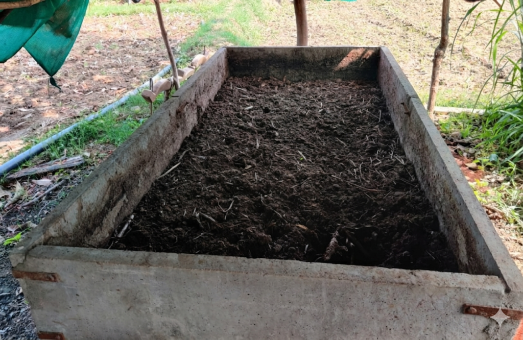 vermicompost 1